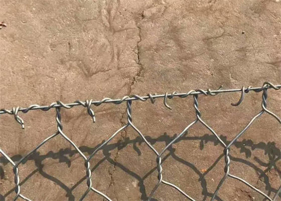 Dubbel draaien geweven ijzeren draad Hexagonale herbruikbare Gabion Box voor de bescherming van planten